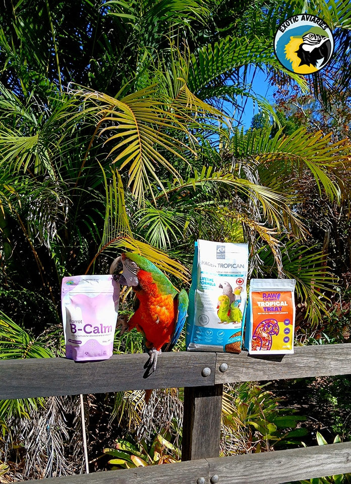 Premium Bird Food – Exotic Aviaries