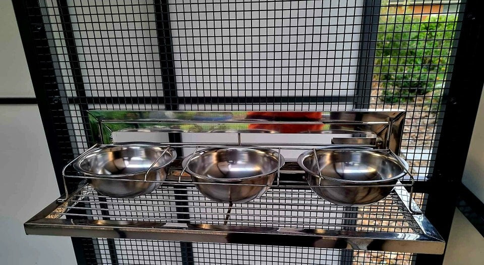 Stainless Steel Convenient Feeder – Exotic Aviaries